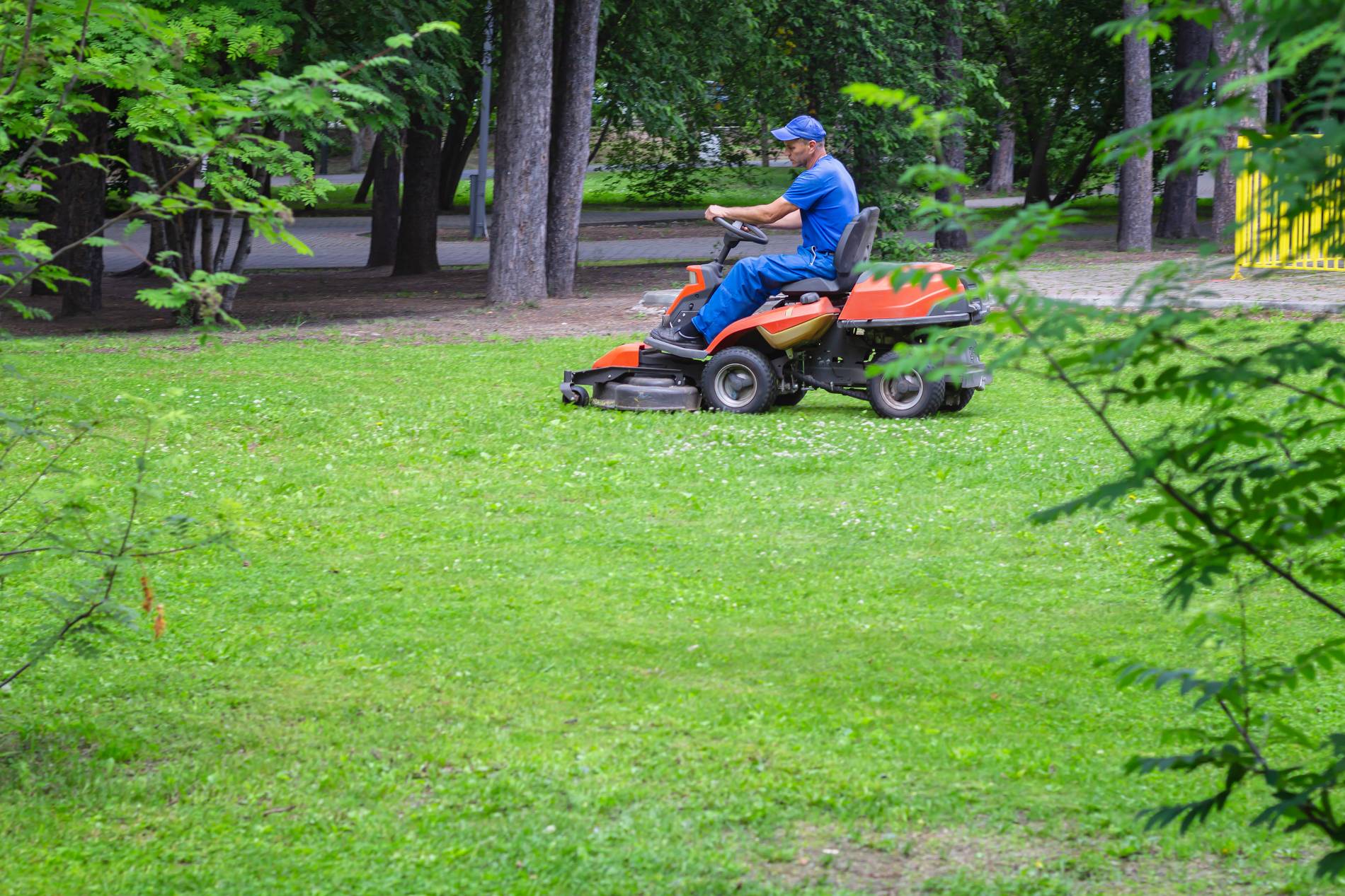 Entretien de jardin à Torpes